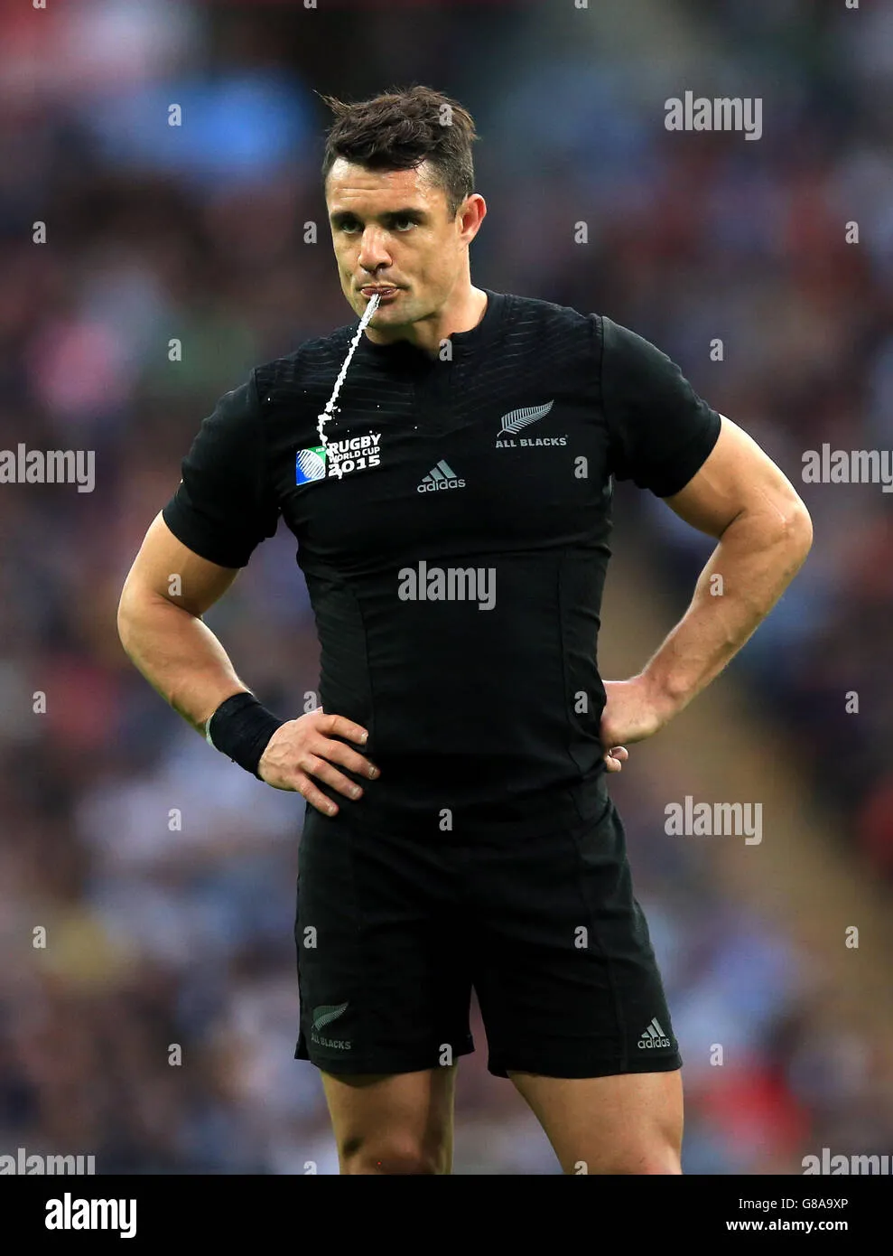 Dan Carter