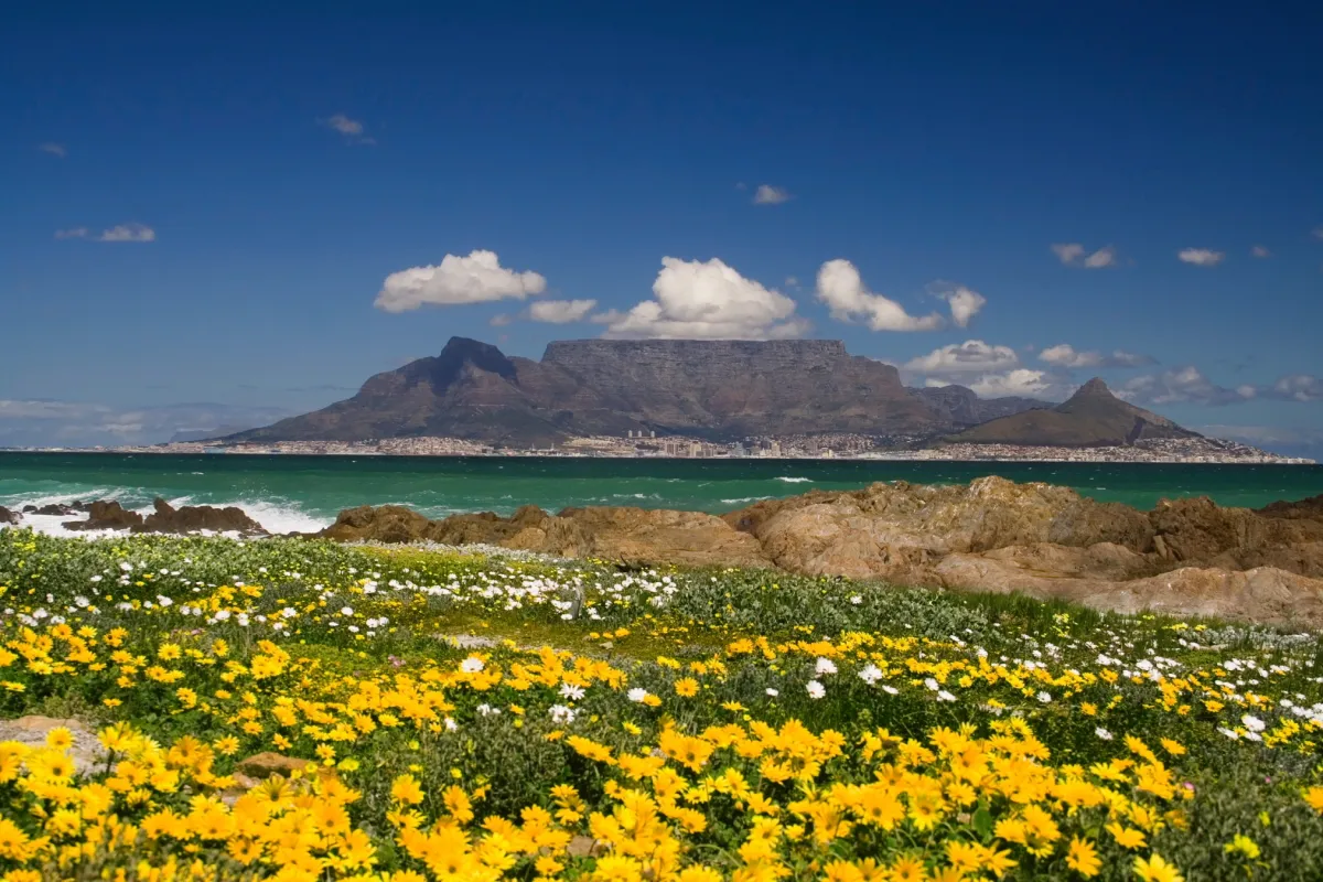 Cape Town